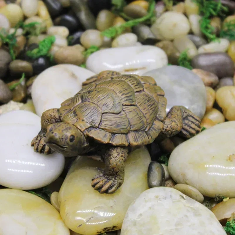 Simulation of Small Turtle Res - Echeveria Succulent のレビューと価格