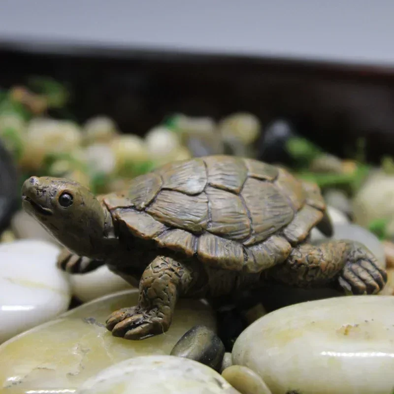 Simulation of Small Turtle Res - Echeveria Succulent のレビューと価格