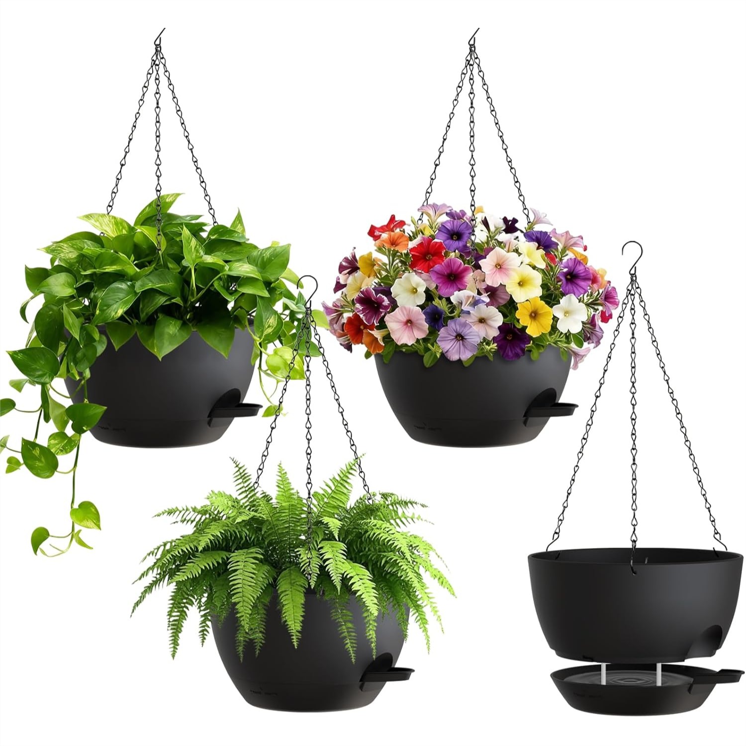 8 Inch Self Watering Hanging P - Spider Plant Hanging のレビューと価格