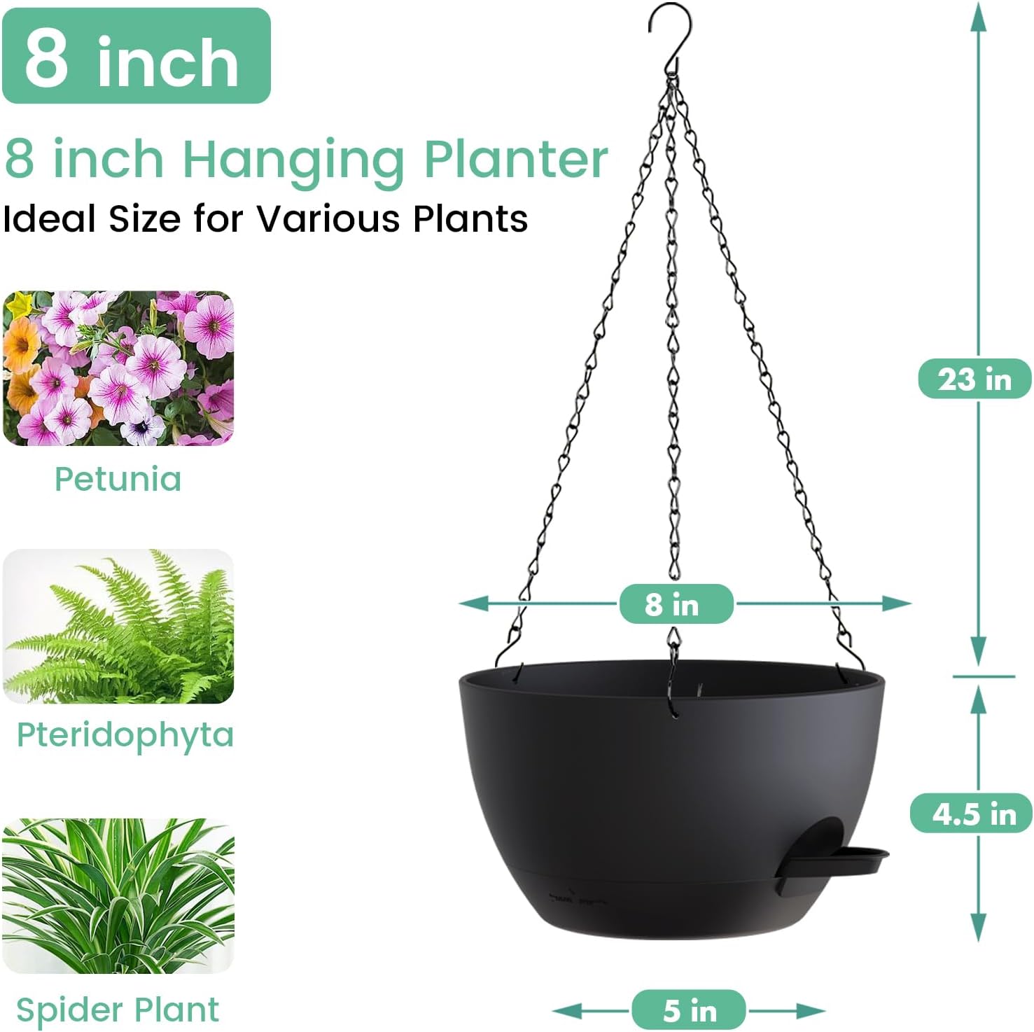 8 Inch Self Watering Hanging P - Spider Plant Hanging のレビューと価格