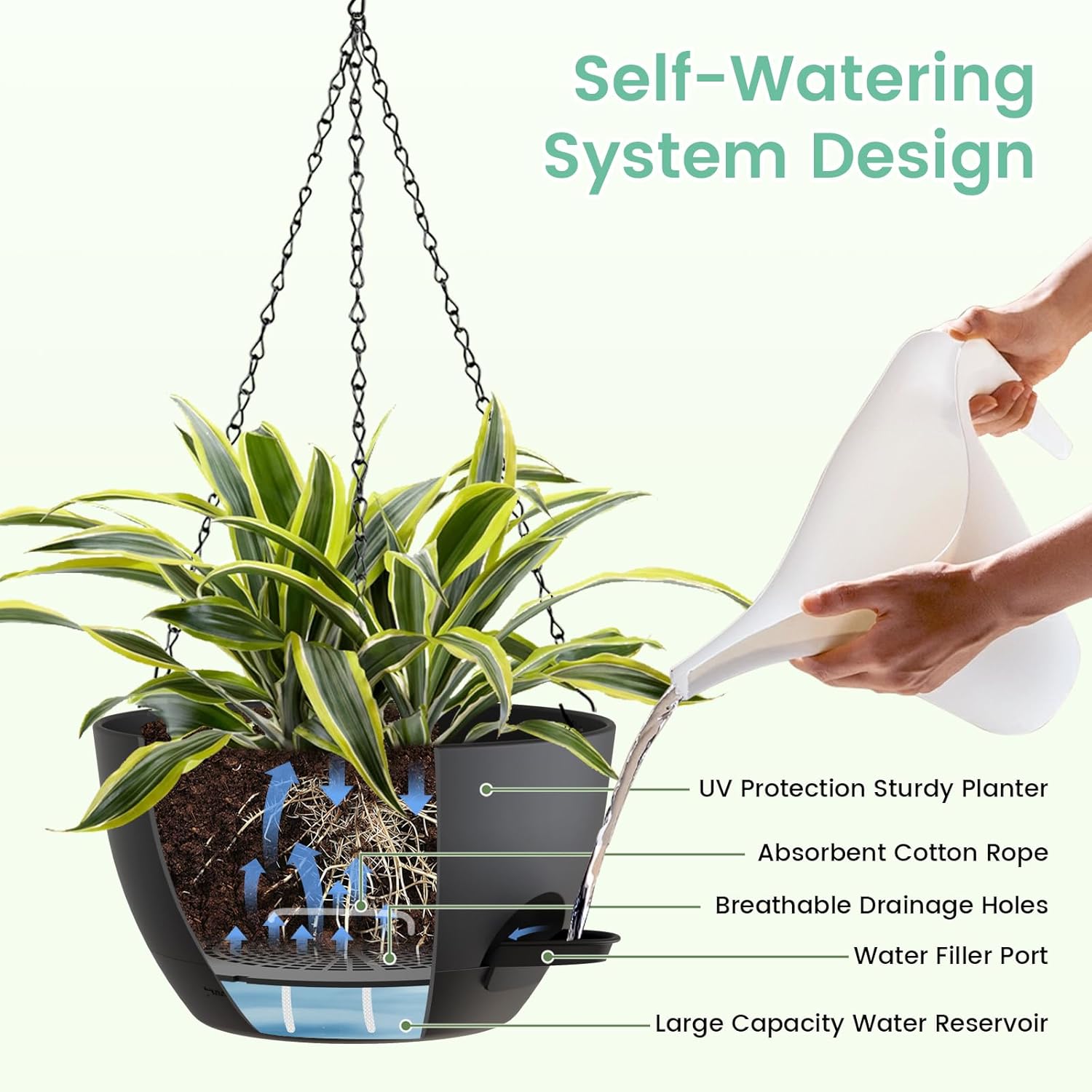 8 Inch Self Watering Hanging P - Spider Plant Hanging のレビューと価格