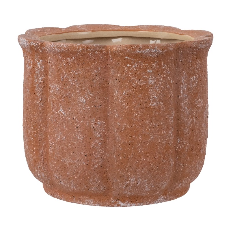 8in Terracotta Flower Planter  - Aloe Vera Pot のレビューと価格