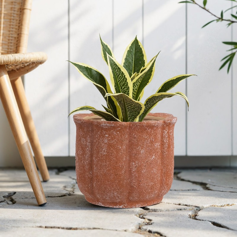 8in Terracotta Flower Planter  - Aloe Vera Pot のレビューと価格