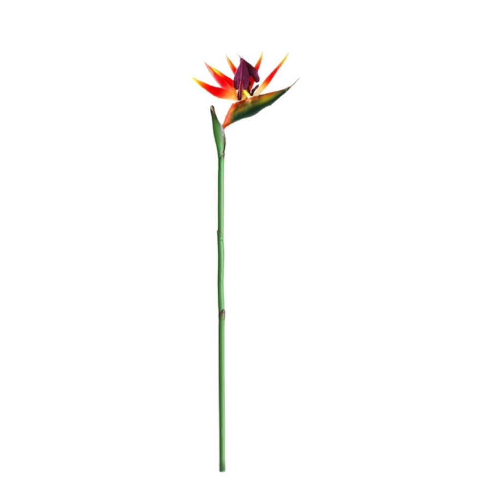 Long Stem Artificial Bird of P - Bird Paradise Strelitzia のレビューと価格