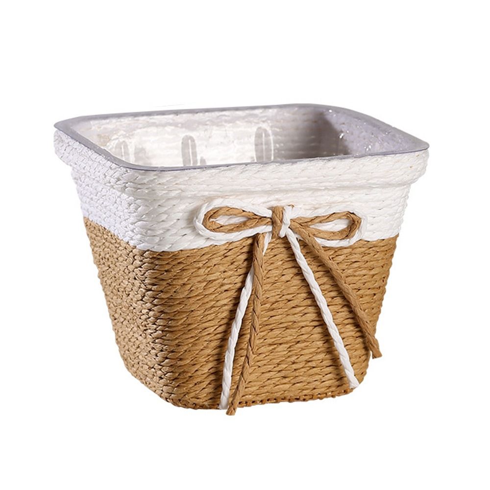 Paper Rope Braided Braided Flo - Aloe Vera Pot のレビューと価格