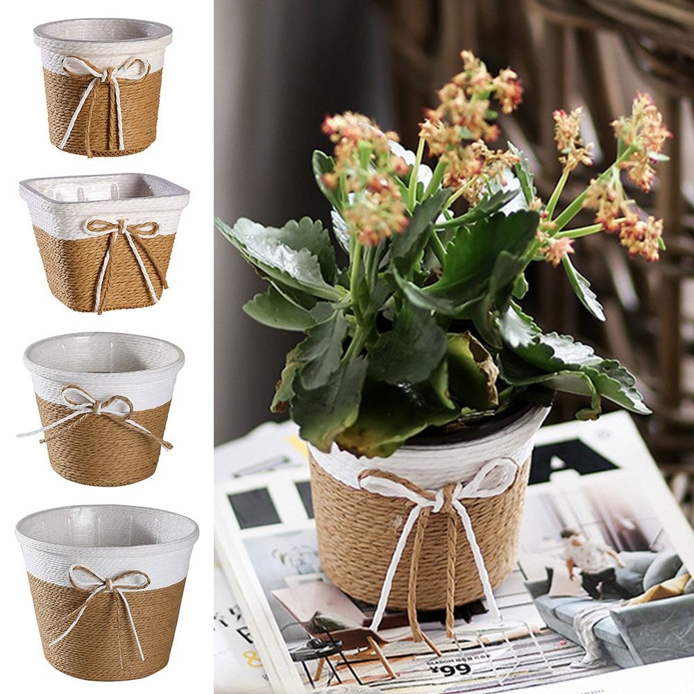 Paper Rope Braided Braided Flo - Aloe Vera Pot のレビューと価格