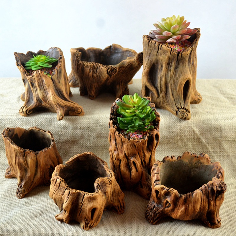 Imitation Wooden Stakes Tree R - Echeveria Succulent のレビューと価格