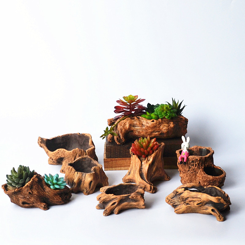 Imitation Wooden Stakes Tree R - Echeveria Succulent のレビューと価格