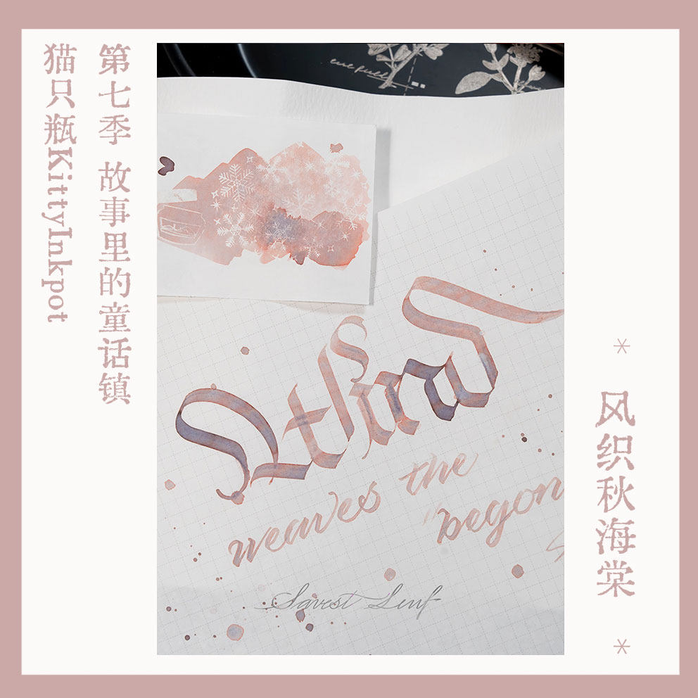 KittyInkpot Begonia Rex Color  - Begonia Rex のレビューと価格