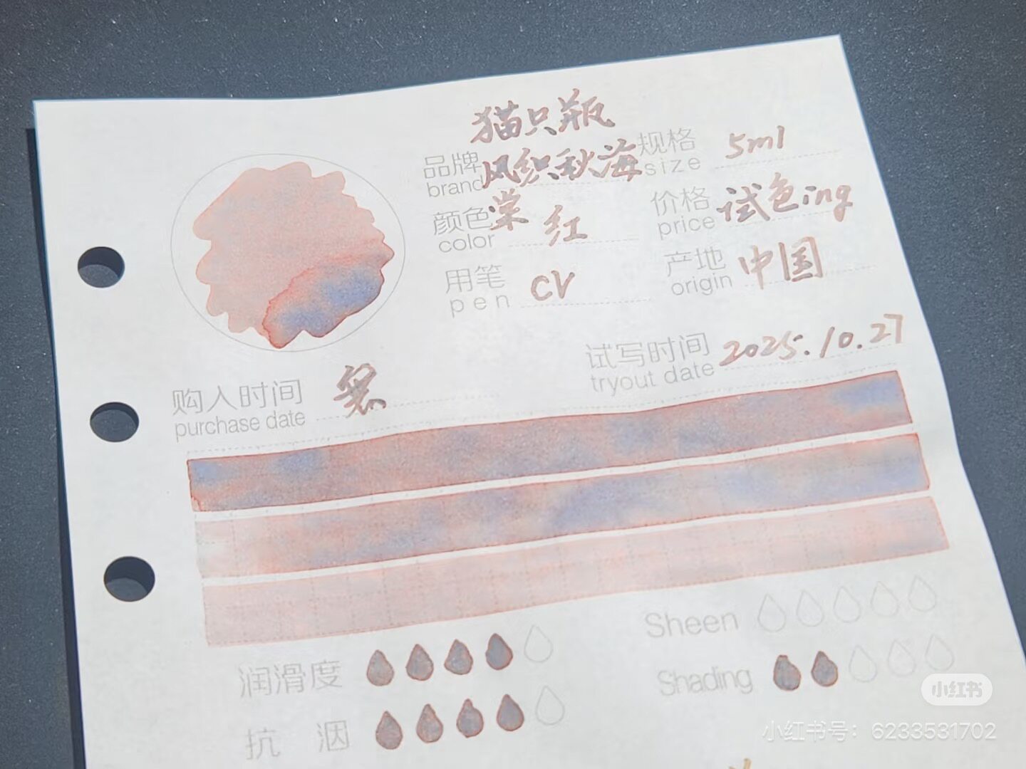 KittyInkpot Begonia Rex Color  - Begonia Rex のレビューと価格
