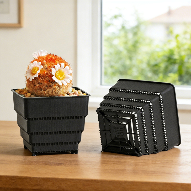 MESHPOT 6-Pack Square Pots for - Echeveria Succulent のレビューと価格