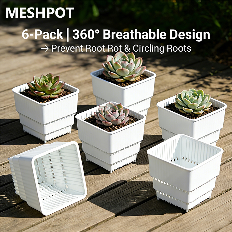 MESHPOT 6-Pack Square Pots for - Echeveria Succulent のレビューと価格