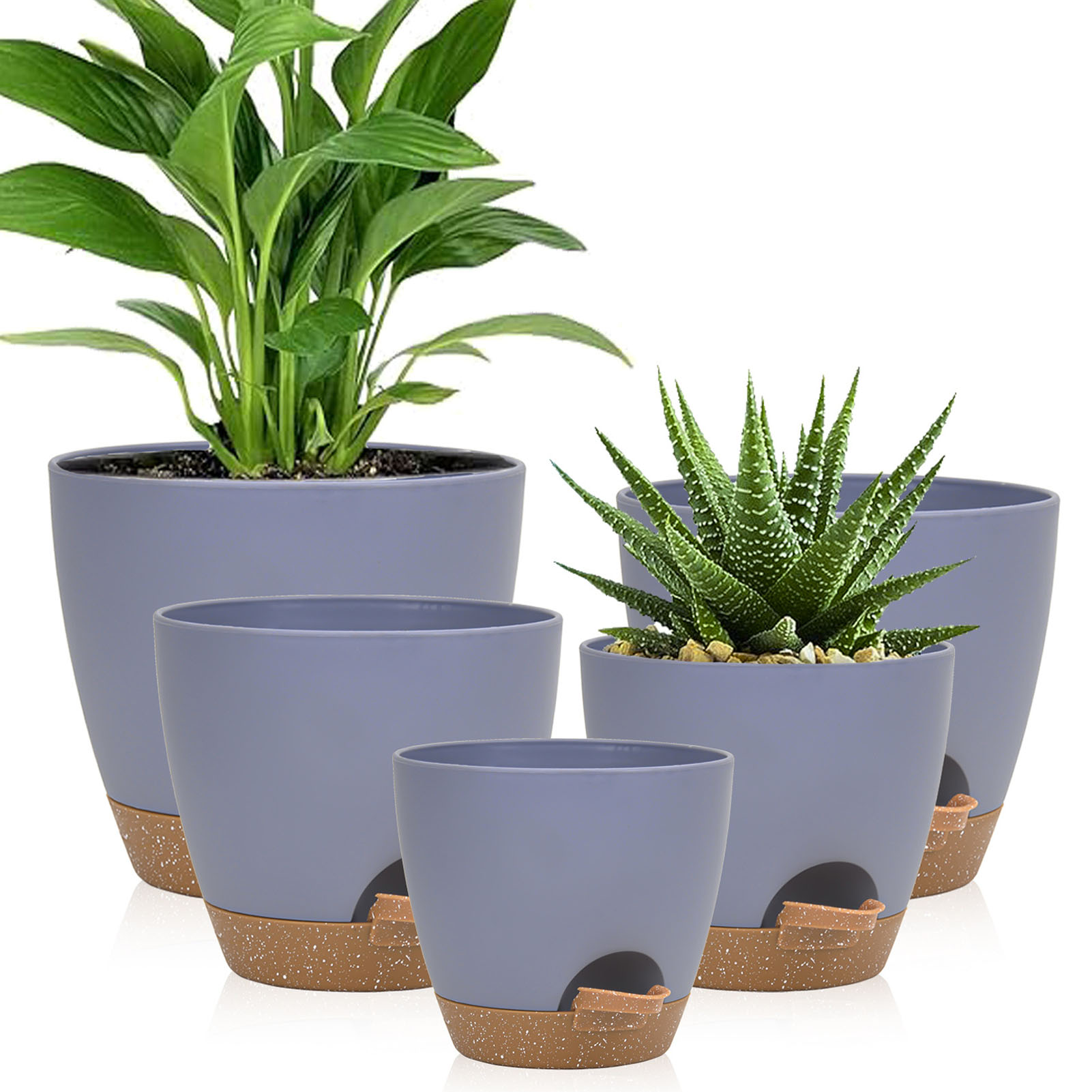 5piece Indoor Flower Pots With - Aloe Vera Pot のレビューと価格