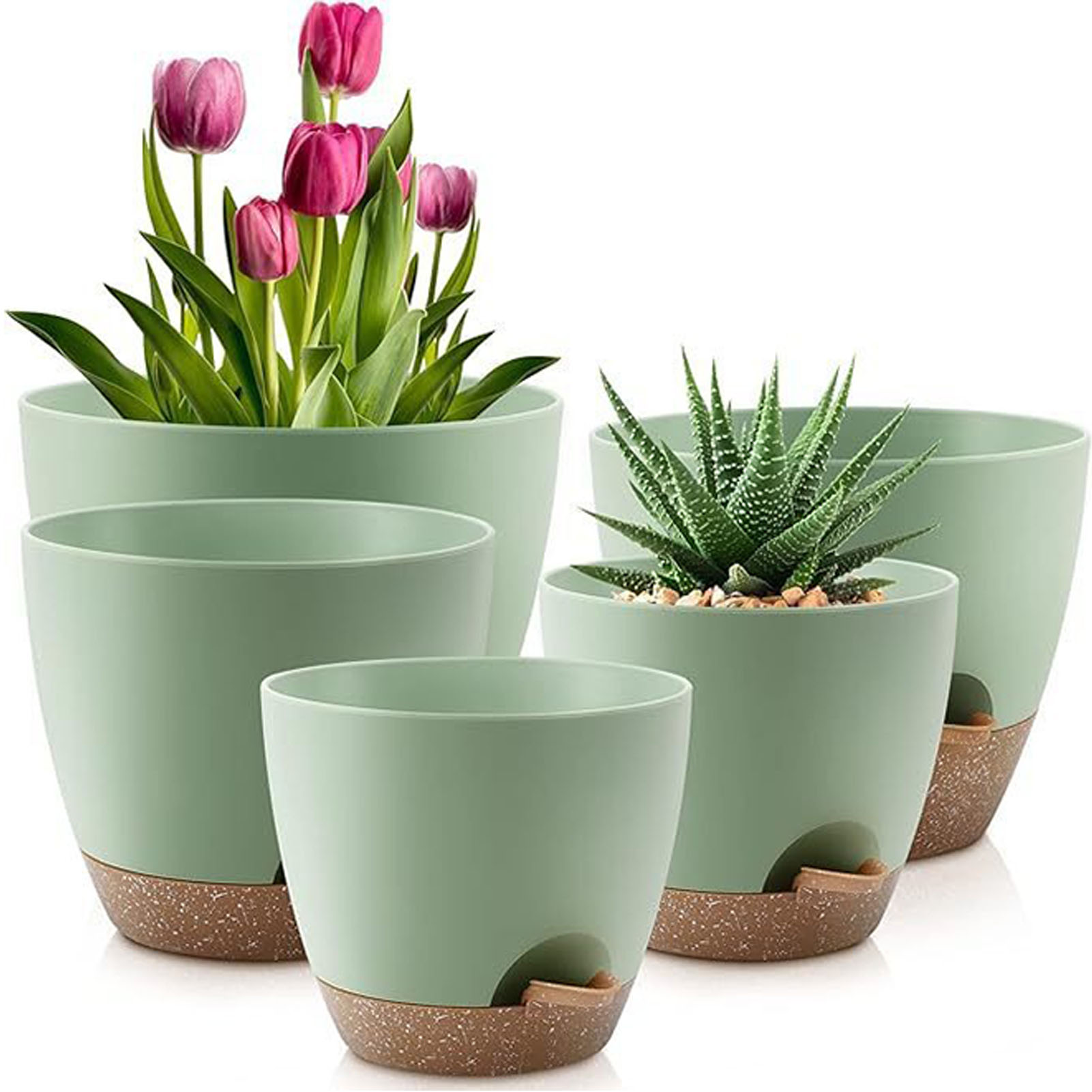 5piece Indoor Flower Pots With - Aloe Vera Pot のレビューと価格