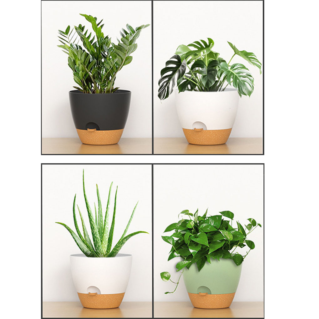 5piece Indoor Flower Pots With - Aloe Vera Pot のレビューと価格