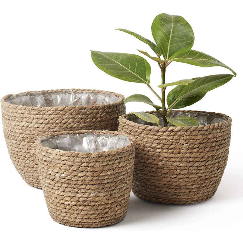 Natural Woven Flower Basket St - Aloe Vera Pot のレビューと価格