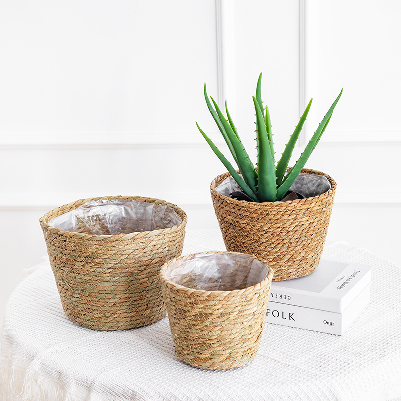 Natural Woven Flower Basket St - Aloe Vera Pot のレビューと価格