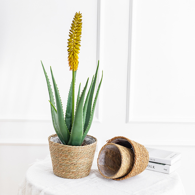 Natural Woven Flower Basket St - Aloe Vera Pot のレビューと価格