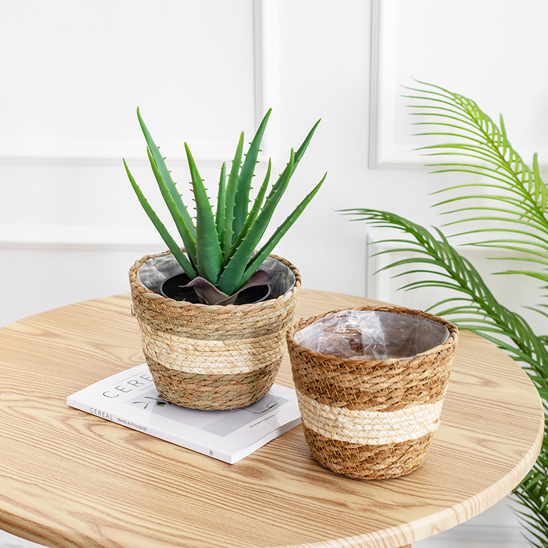 Natural Woven Flower Basket St - Aloe Vera Pot のレビューと価格