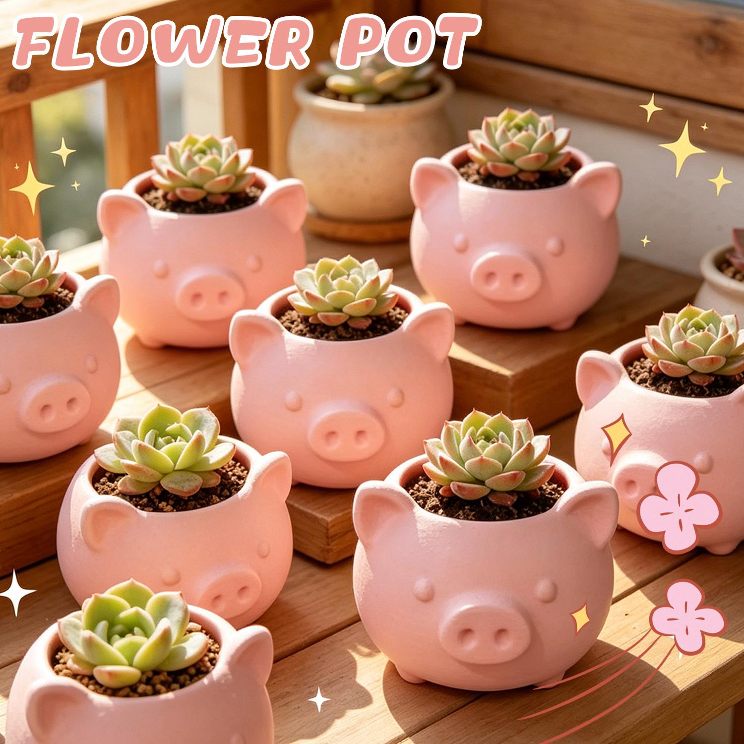 10/1pcs 3D Printed Creative Pi - Echeveria Succulent のレビューと価格