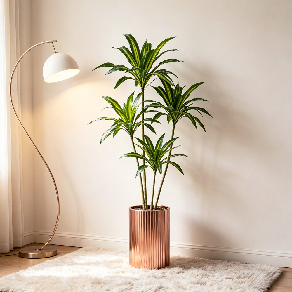 80-165cm Large Artifcial Draca - Dracaena Marginata のレビューと価格