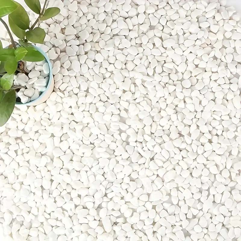 White Pebbles Decorative Stone - Echeveria Succulent のレビューと価格