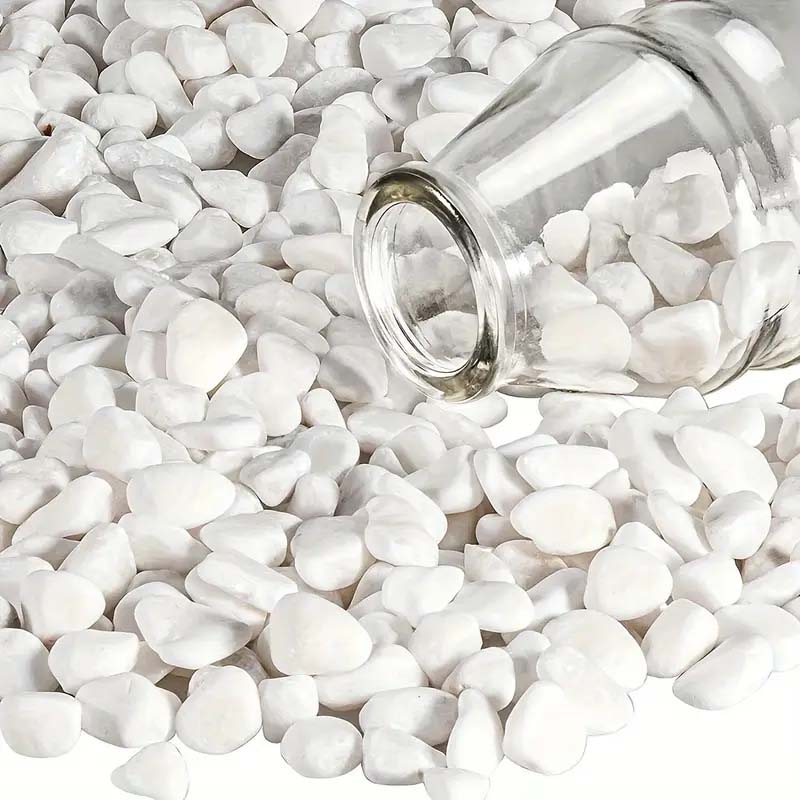 White Pebbles Decorative Stone - Echeveria Succulent のレビューと価格