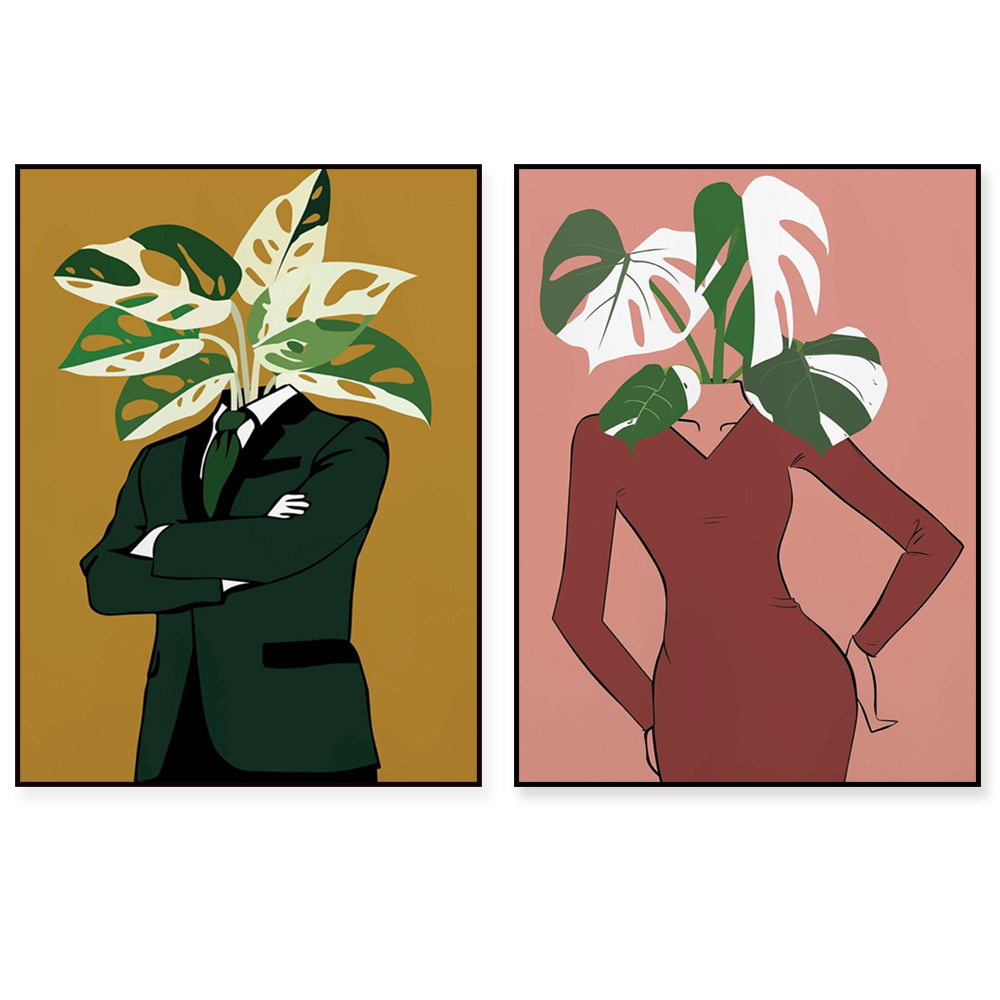 Monstera Albo in a burgundy dr - Monstera Adansonii のレビューと価格