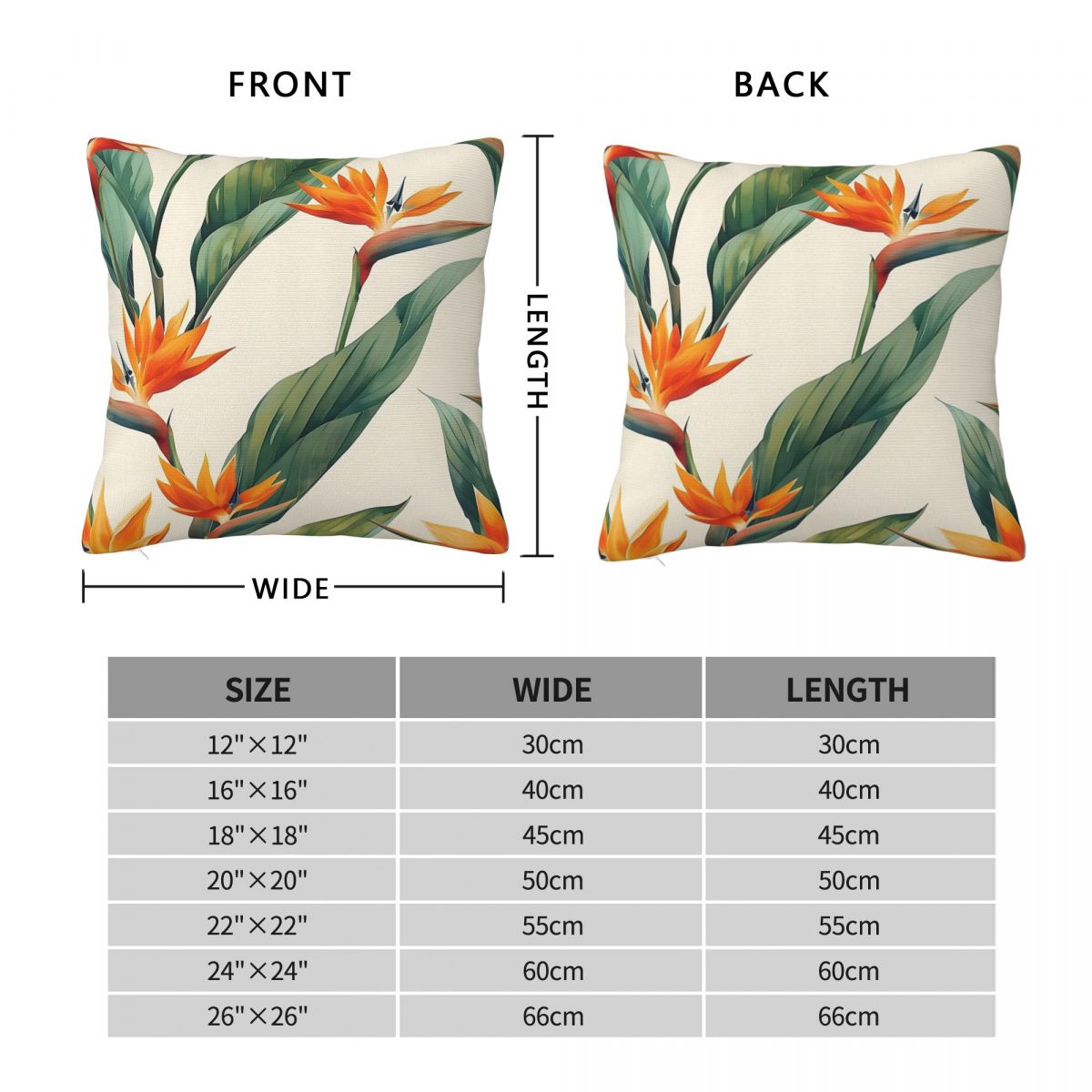 Bird Of Paradise Strelitzia Sq - Bird Paradise Strelitzia のレビューと価格
