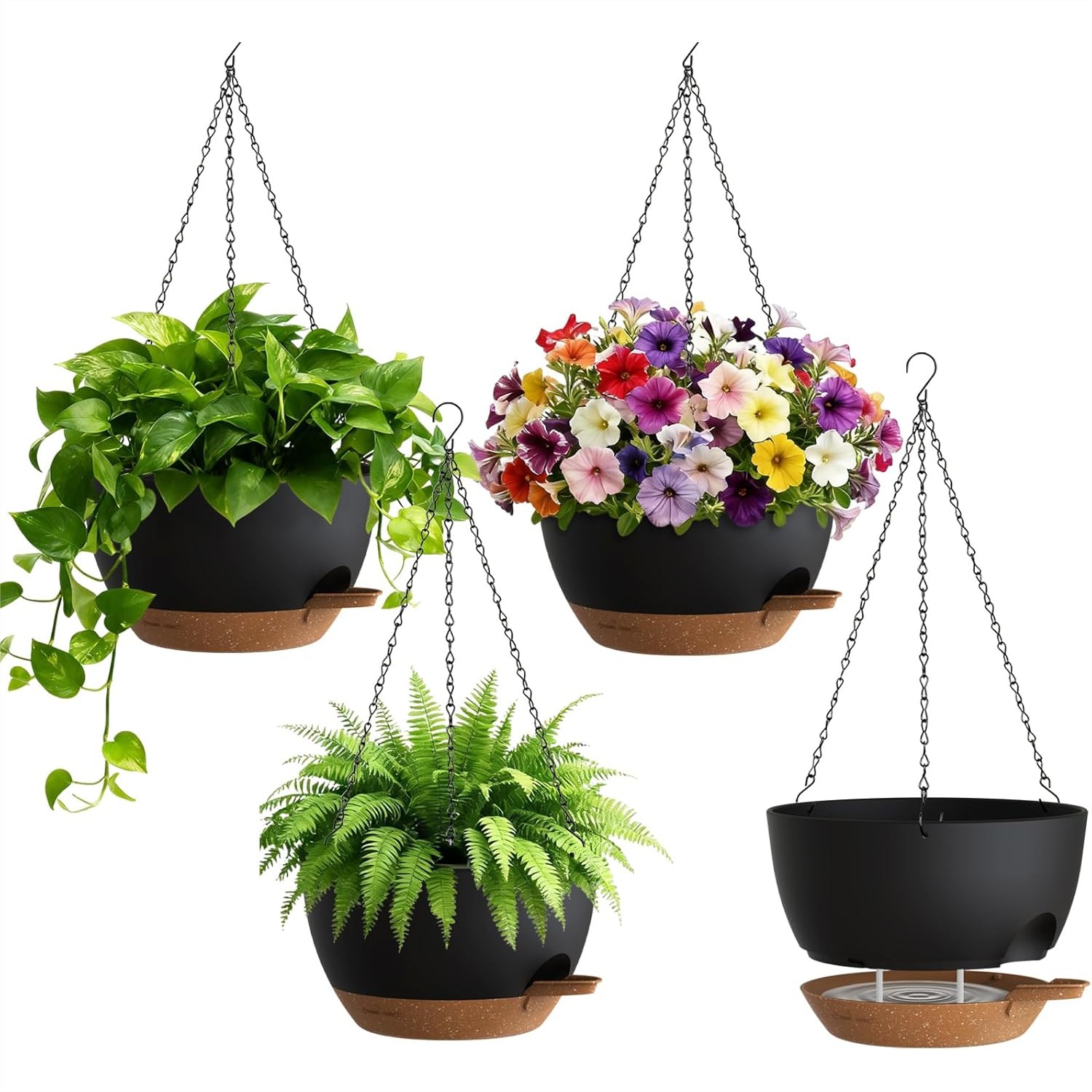 Self Watering Hanging Planters - Spider Plant Hanging のレビューと価格