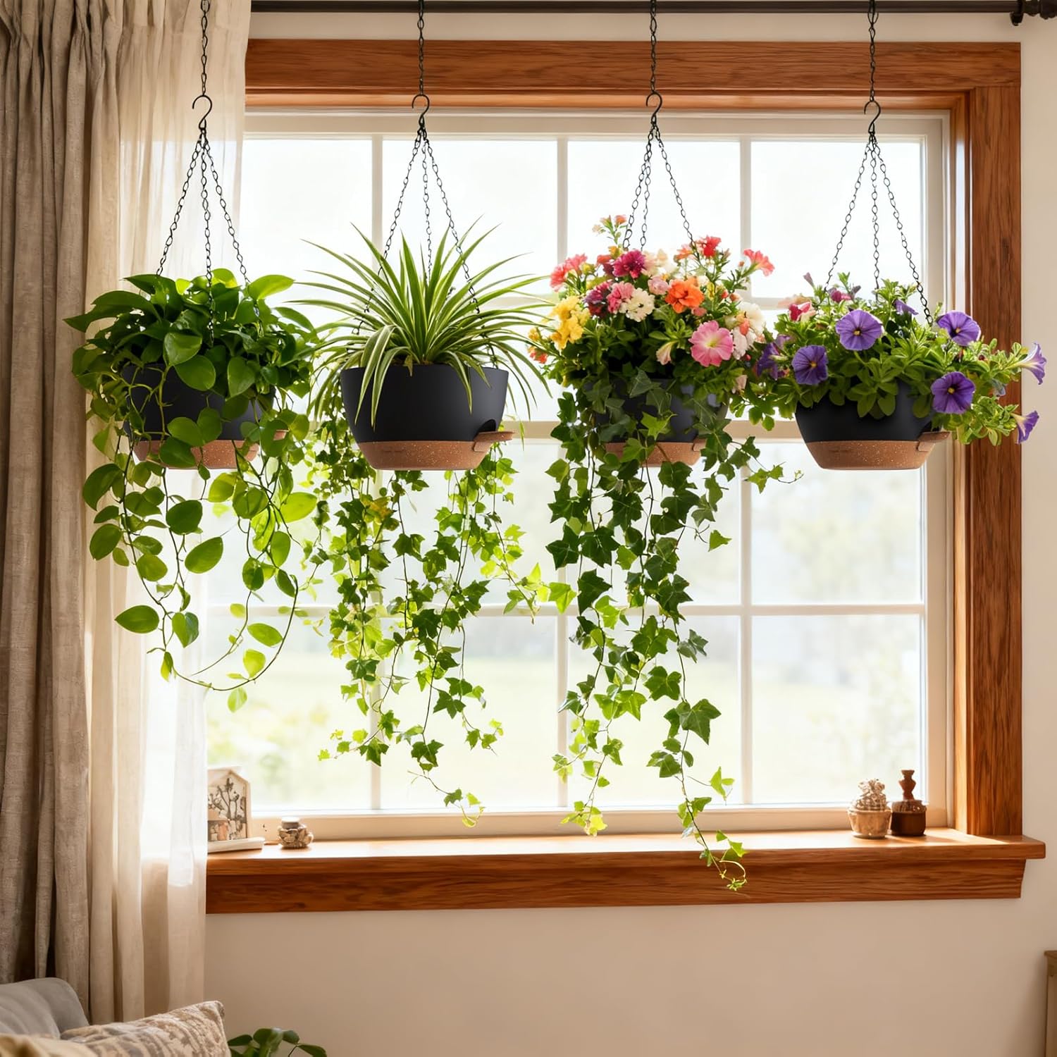 Self Watering Hanging Planters - Spider Plant Hanging のレビューと価格