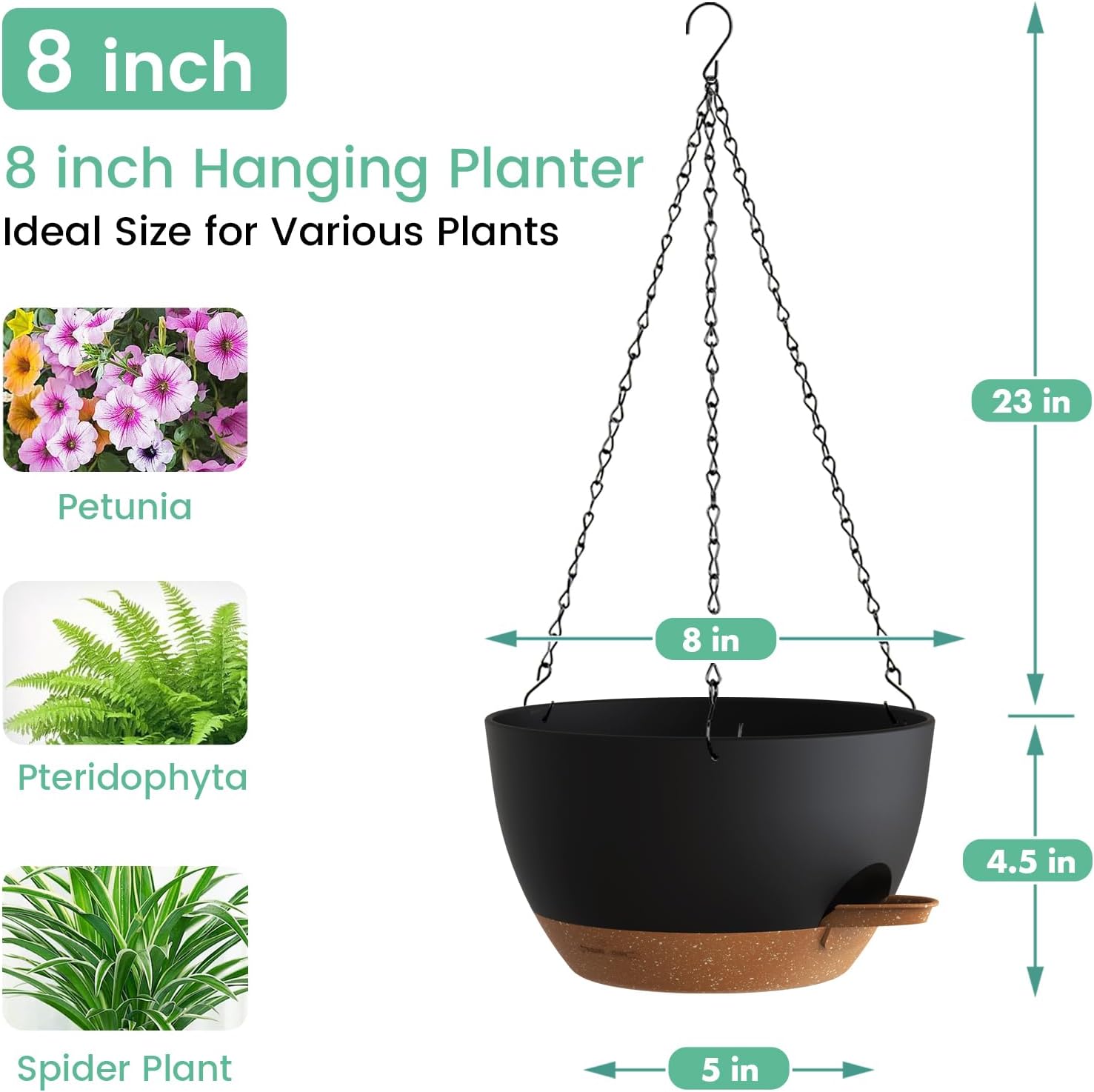 Self Watering Hanging Planters - Spider Plant Hanging のレビューと価格