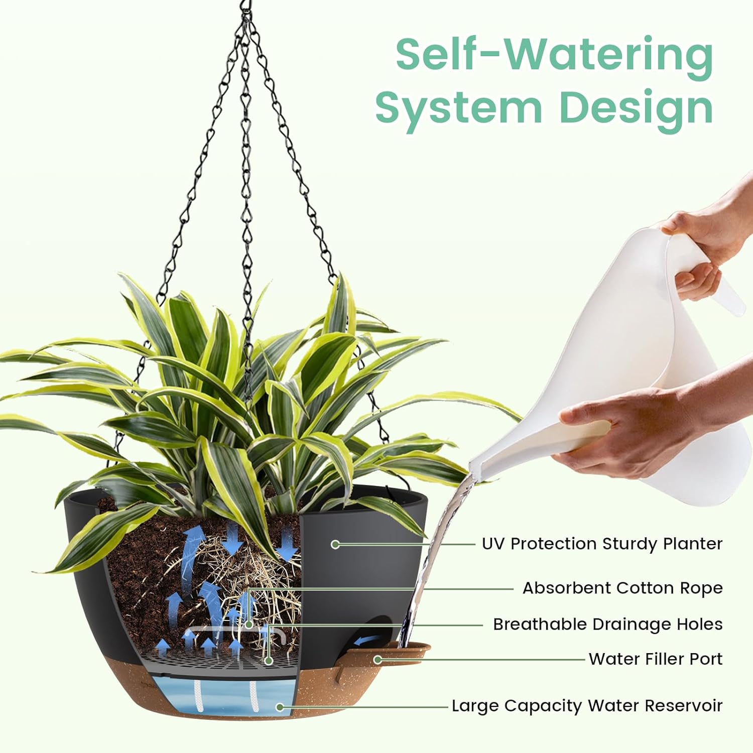 Self Watering Hanging Planters - Spider Plant Hanging のレビューと価格