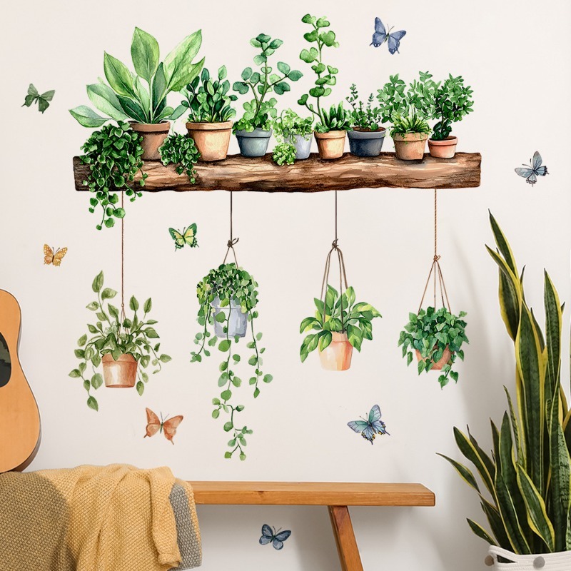 3D Potted Green Plant Shelf Wa - Echeveria Succulent のレビューと価格