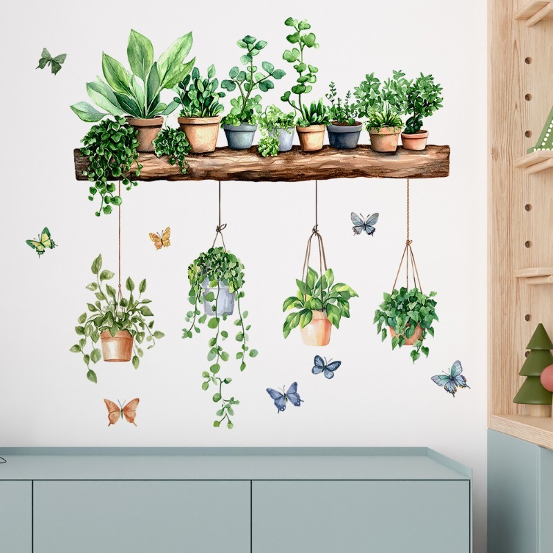 3D Potted Green Plant Shelf Wa - Echeveria Succulent のレビューと価格