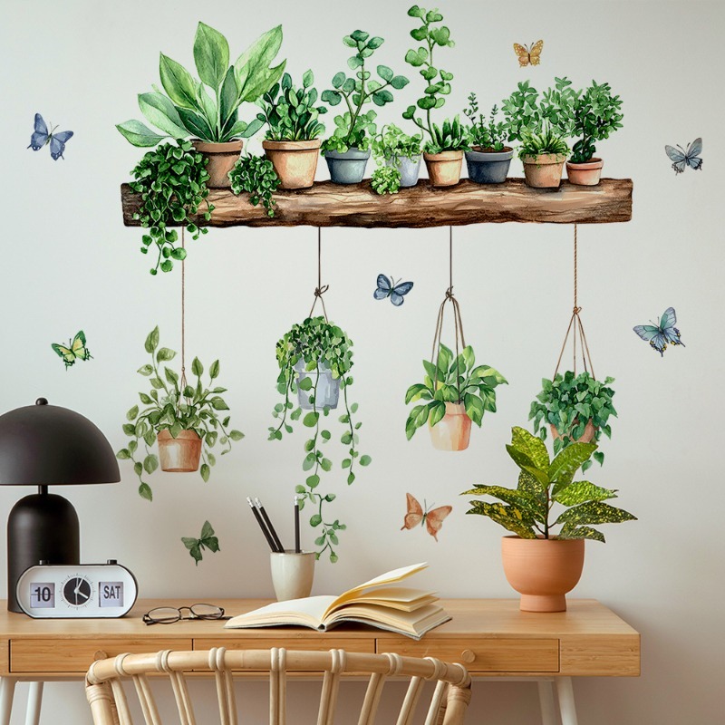 3D Potted Green Plant Shelf Wa - Echeveria Succulent のレビューと価格