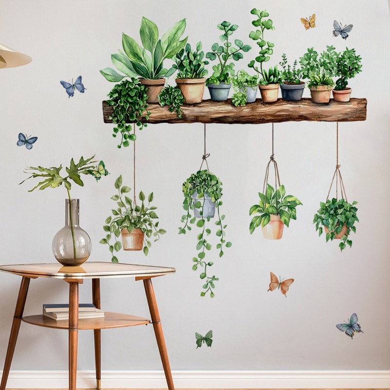 3D Potted Green Plant Shelf Wa - Echeveria Succulent のレビューと価格