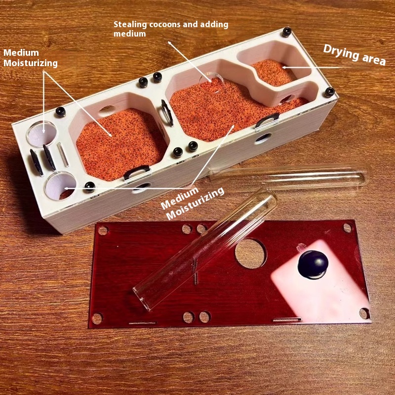 Ant Farm mini CC with External - Begonia Rex のレビューと価格