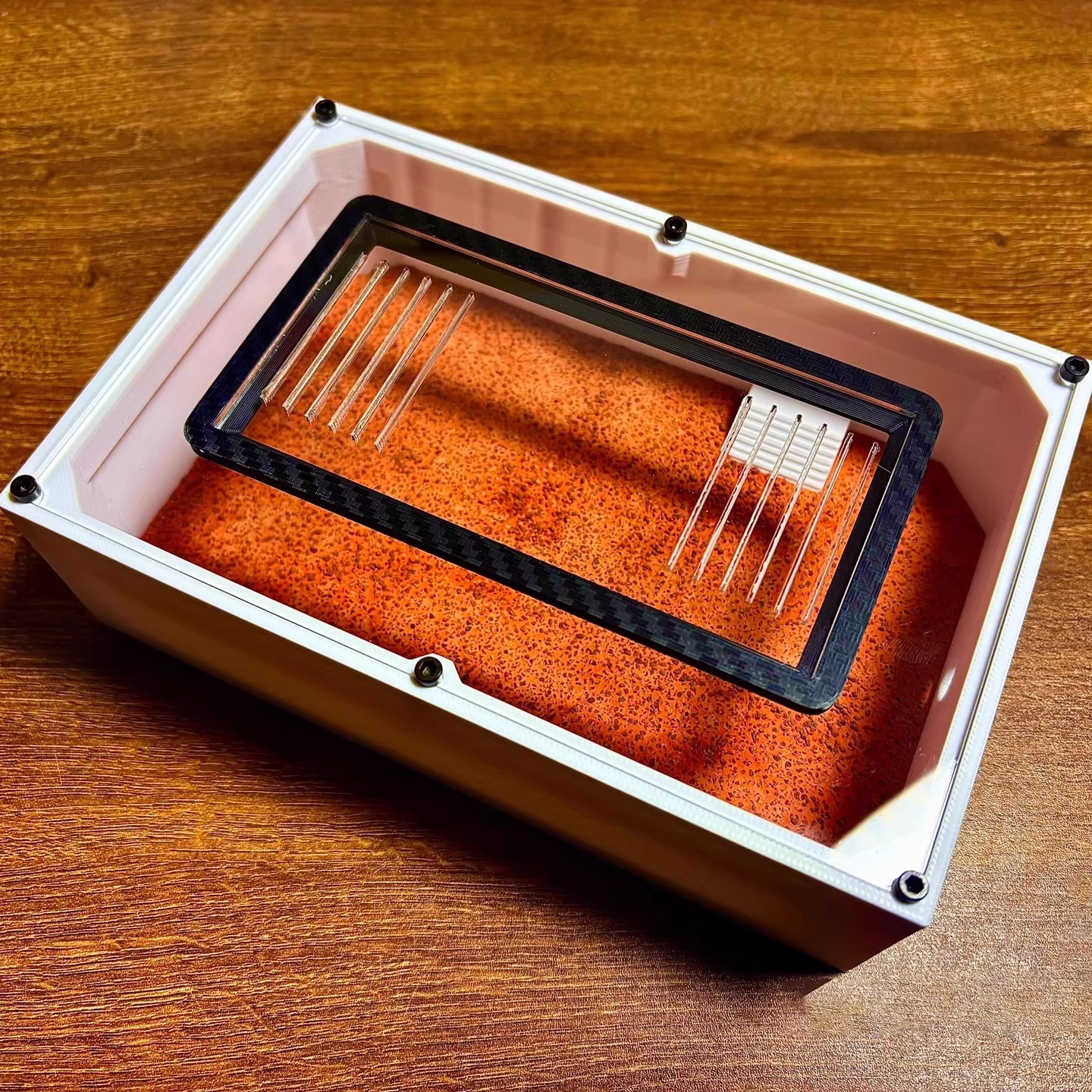 Ant Farm mini CC with External - Begonia Rex のレビューと価格
