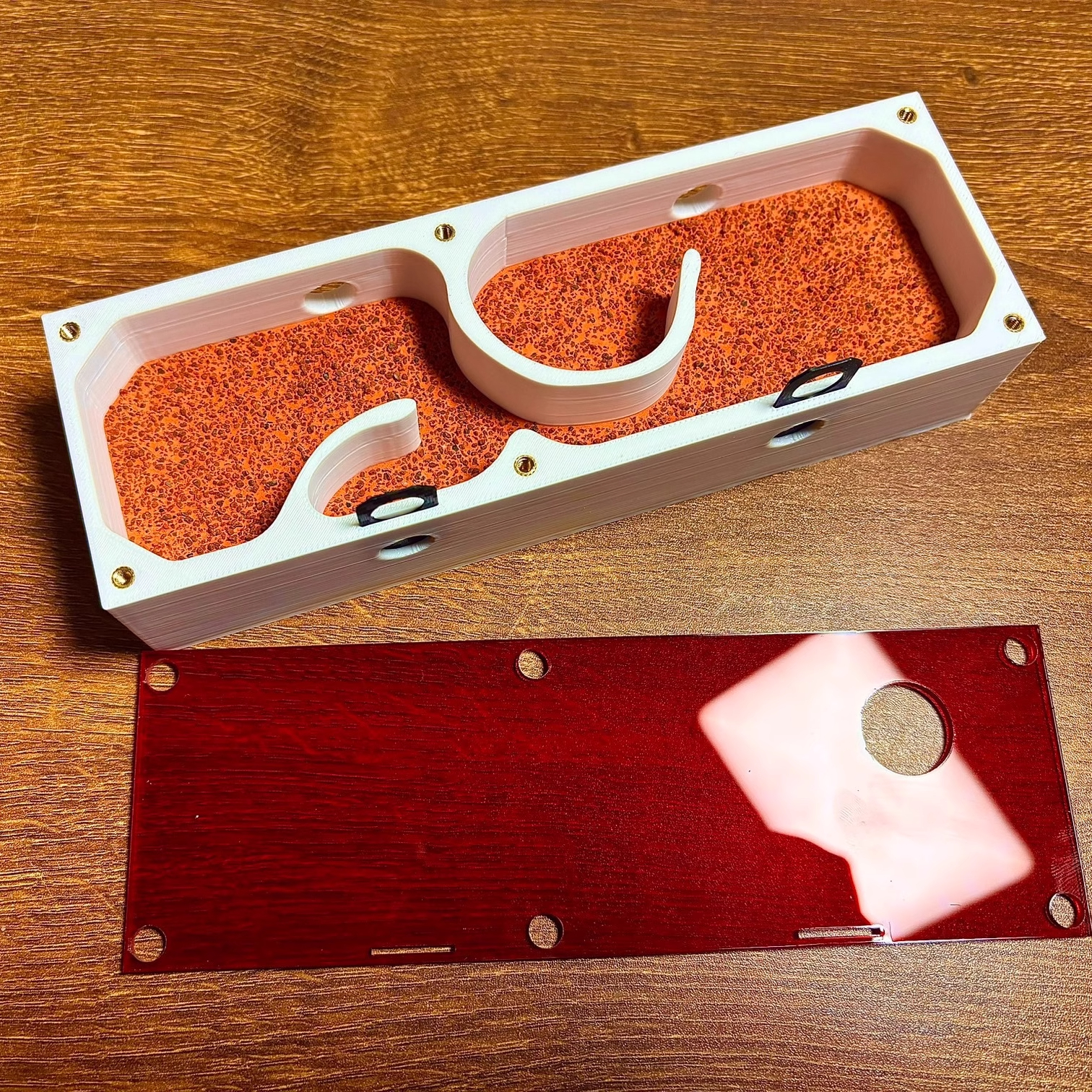 Ant Farm mini CC with External - Begonia Rex のレビューと価格