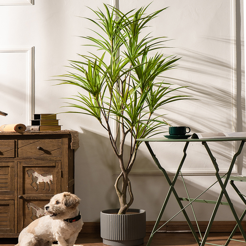 90-180cm Large Artificial Tree - Dracaena Marginata のレビューと価格