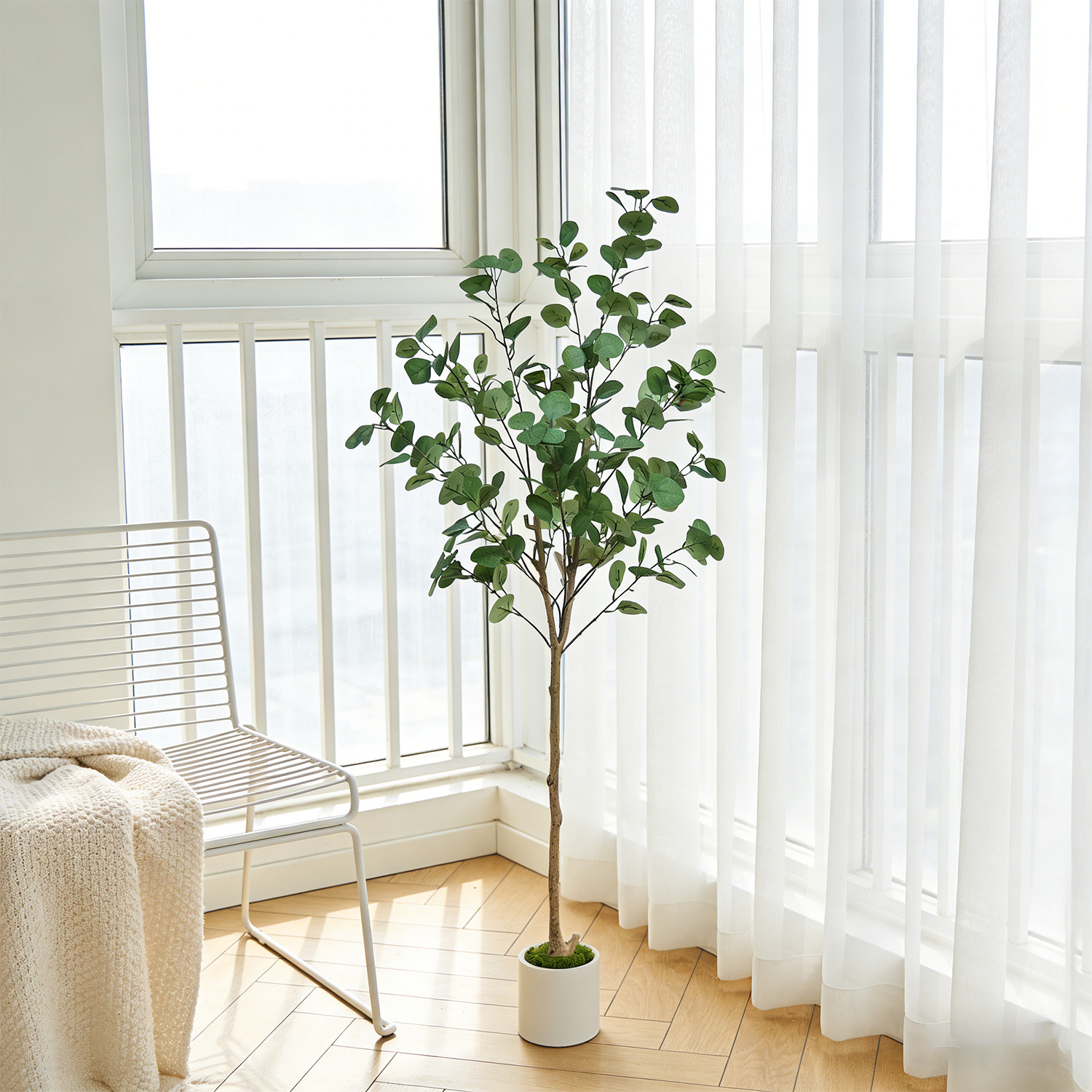 120-155Cm/5.1Ft Artificial Euc - Dracaena Marginata のレビューと価格