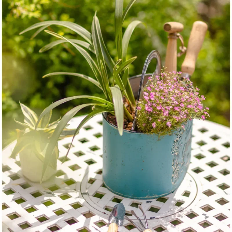 Blue Hanging Wall Planter Aged - Spider Plant Hanging のレビューと価格