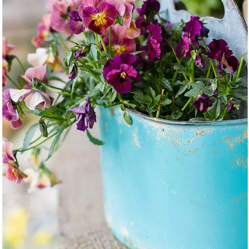 Blue Hanging Wall Planter Aged - Spider Plant Hanging のレビューと価格