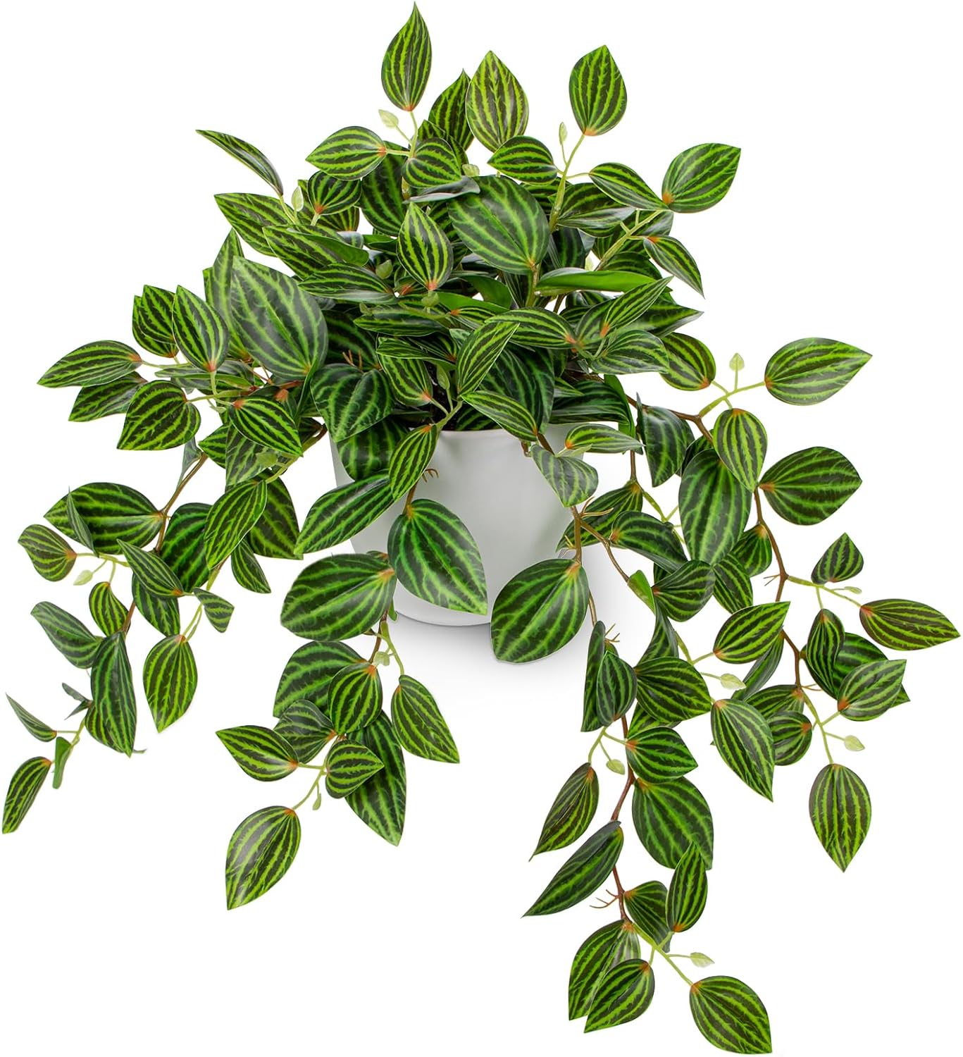 Artificial Plants Indoor Fake  - Peperomia Watermelon のレビューと価格