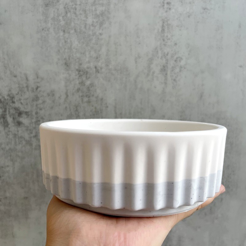 Stripe Flowerpot Silicone Mold - Echeveria Succulent のレビューと価格