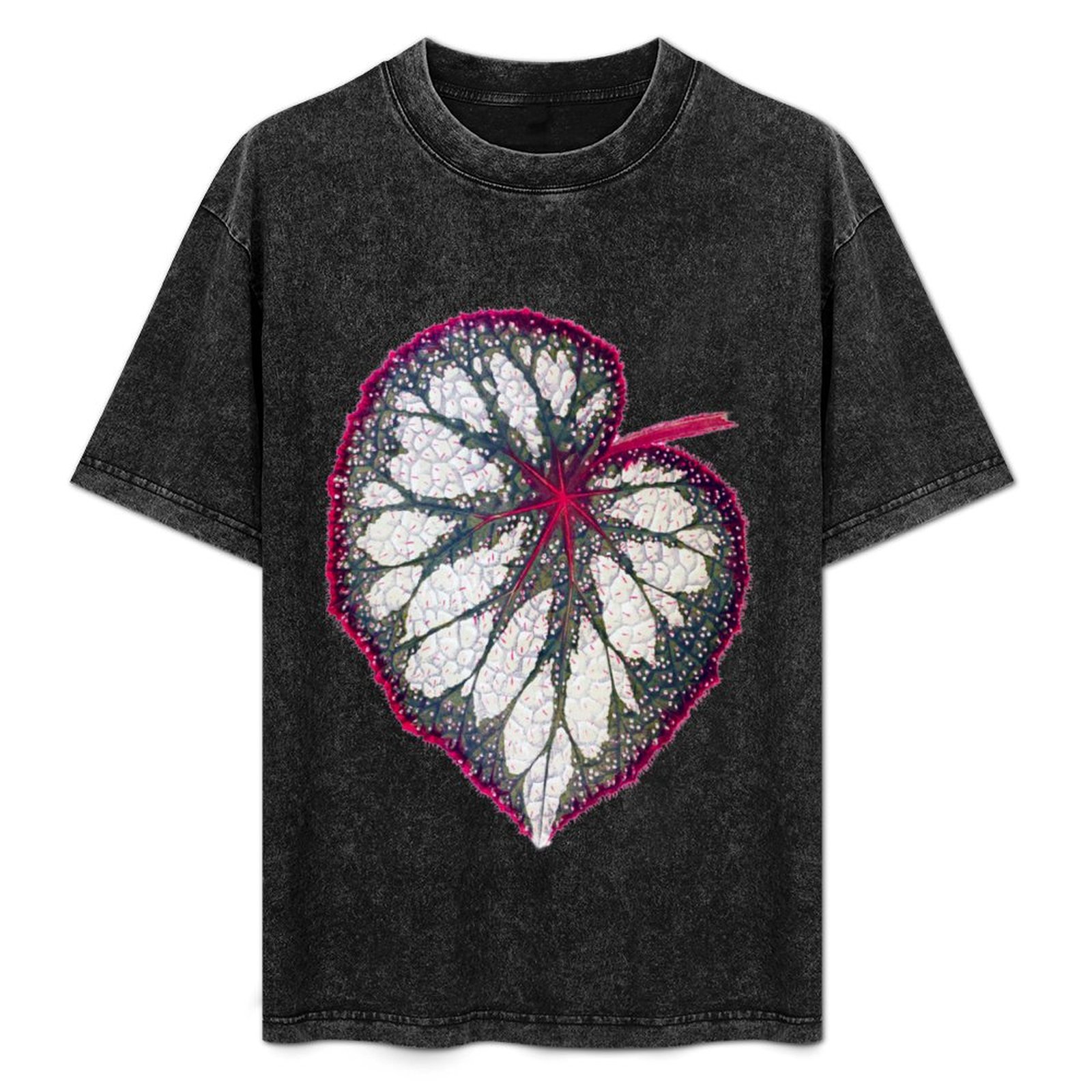 Begonia rex T-Shirt Holiday Si - Begonia Rex のレビューと価格