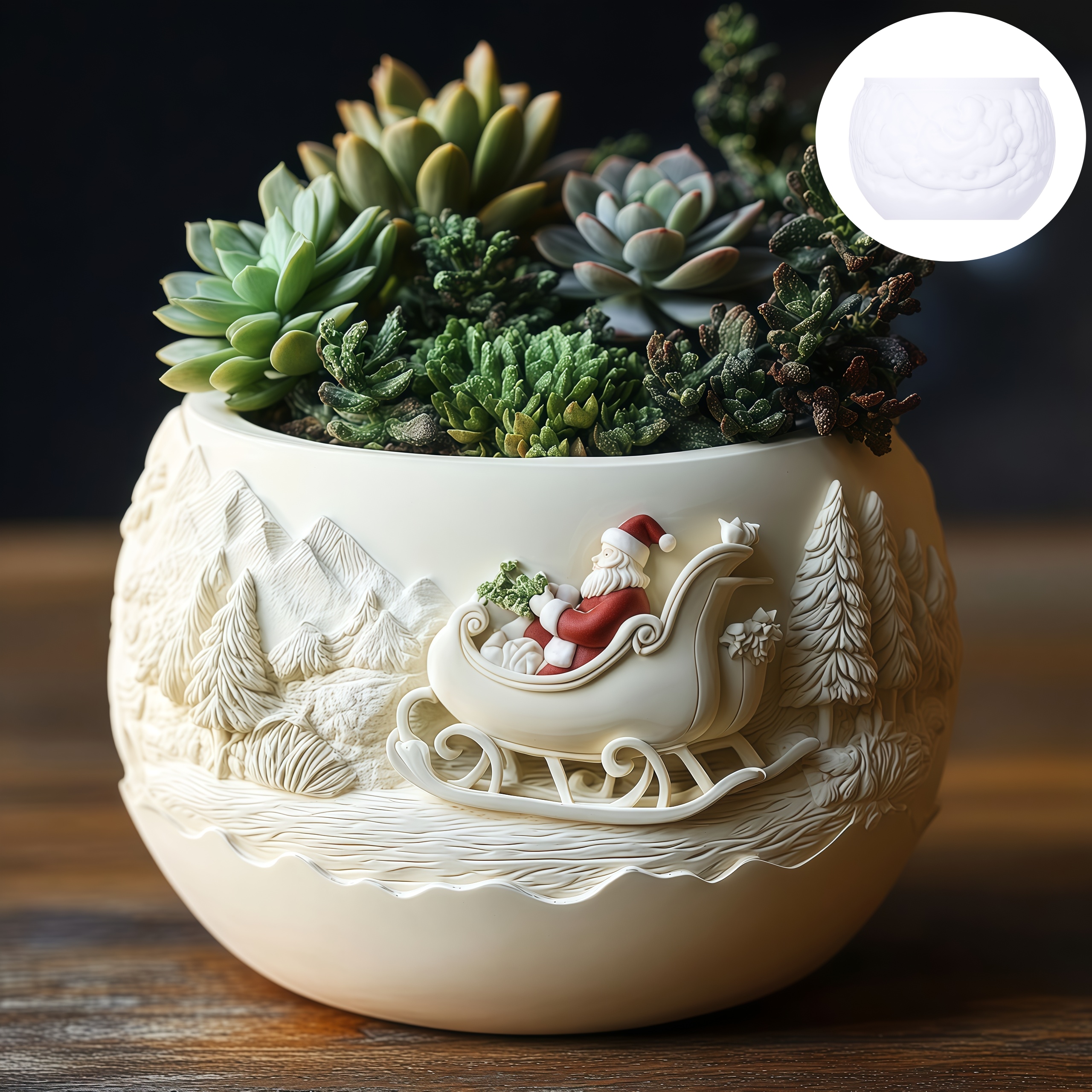 Cedar Sled Santa Claus Relief  - Echeveria Succulent のレビューと価格