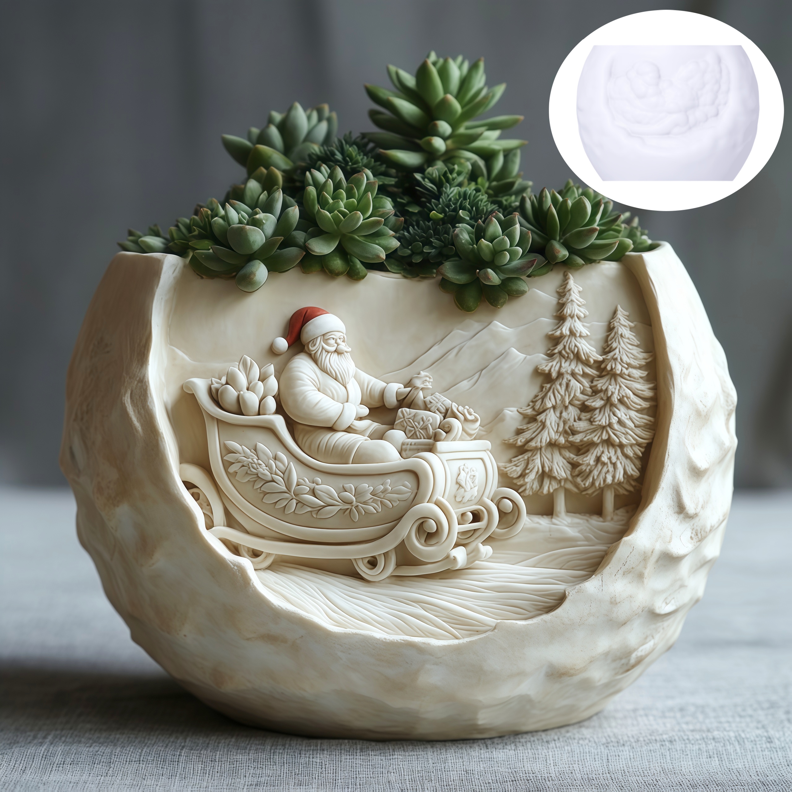Cedar Sled Santa Claus Relief  - Echeveria Succulent のレビューと価格