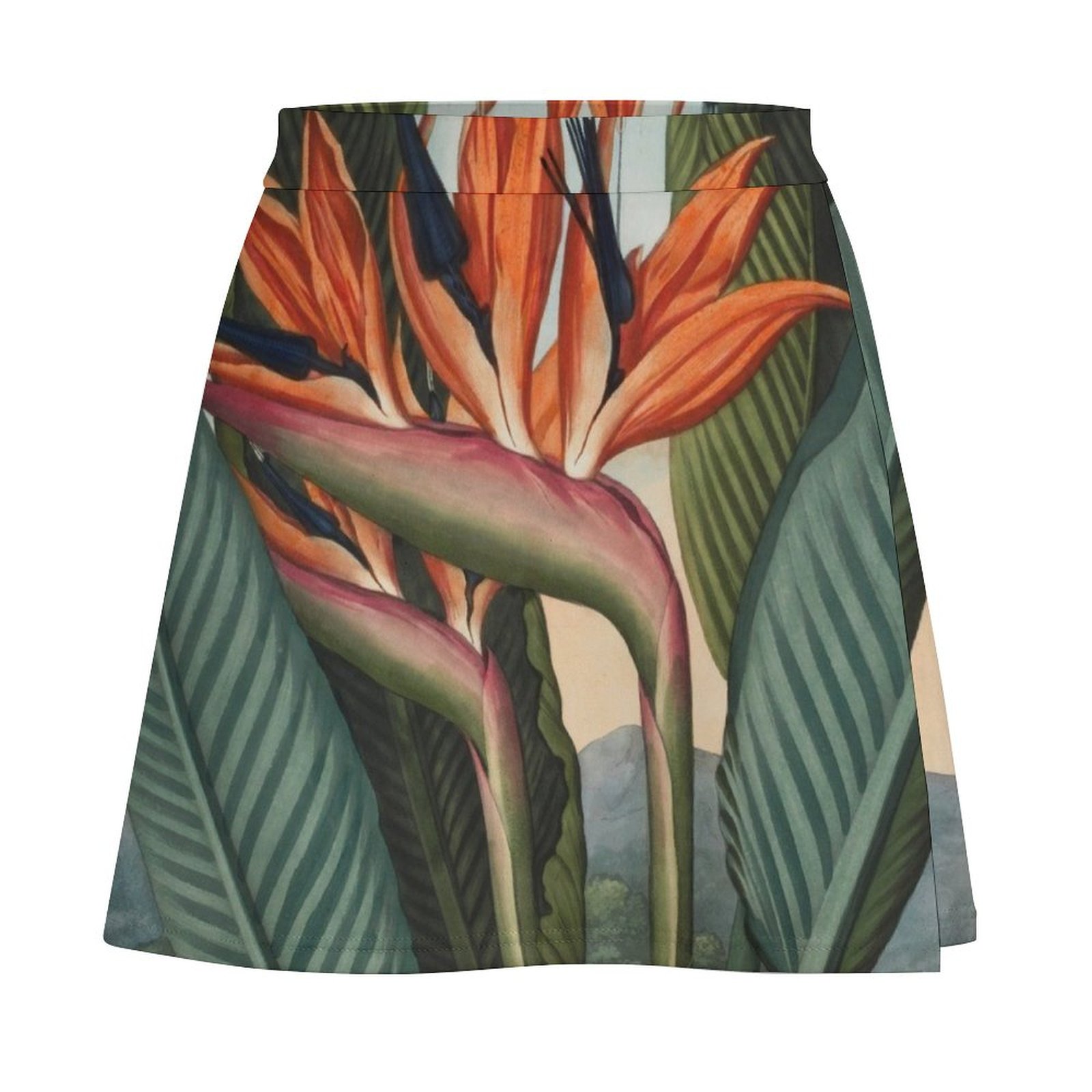 Botanical illustration: Bird o - Bird Paradise Strelitzia のレビューと価格